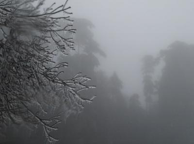 China0081095 Jpg 16261075708 O