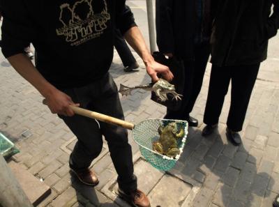 China0081116 Jpg 16422758606 O