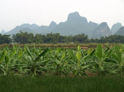 China0081187 Jpg 16262511359 O