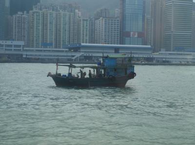 Pa123076 9254295909 O