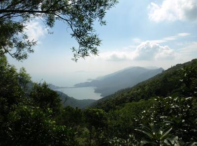 Pa123142 9257072748 O