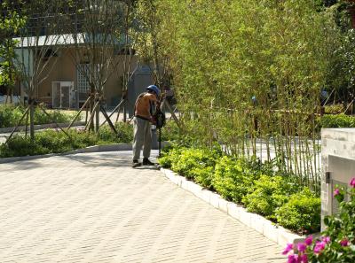 Pa123147 9254291269 O