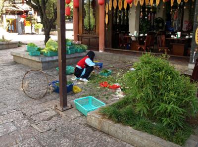 Pa143216 9257058224 O