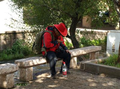 Pa143217 9257057568 O