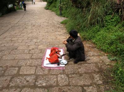 Pa143297 9257044114 O