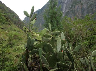 Pa163421 9257028422 O