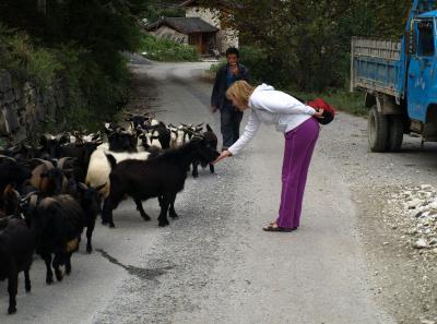 Pa163424 9254247451 O