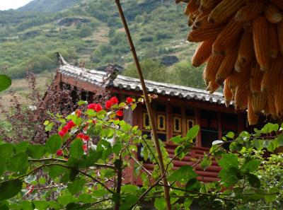 Pa163439 9254243577 O