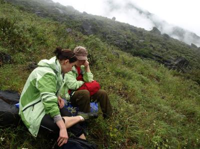 Pa173446 9257023704 O