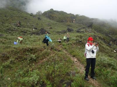 Pa173486 9257019132 O