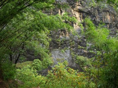 Pa183498 9254237113 O