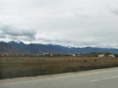 Pa193523 9257009982 O