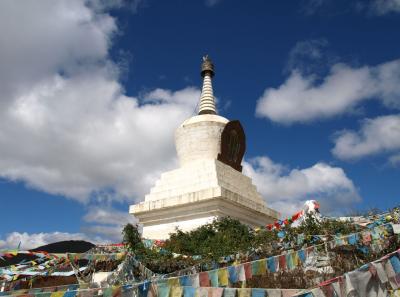 Pa203618 9254213167 O