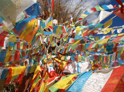 Pa203619 9254212929 O