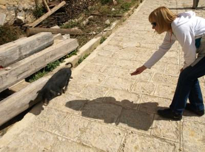 Pa203623 9256993022 O