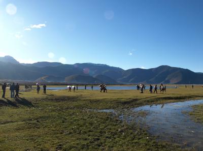 Pa203633 9256990232 O