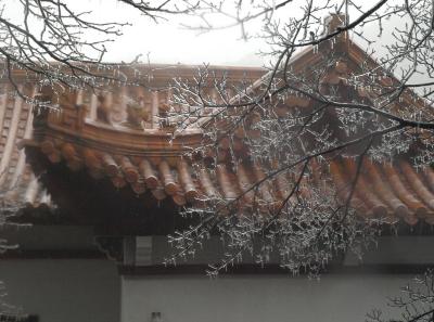 China2010spring 013 Jpg 16447622302 O