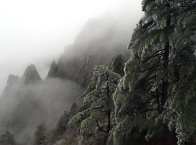 China2010spring 014 Jpg 16447622172 O