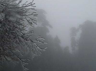 China2010spring 015 Jpg 16262308079 O