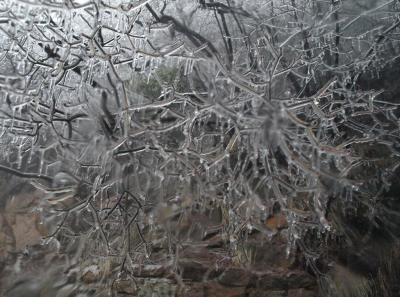 China2010spring 016 Jpg 16448582015 O