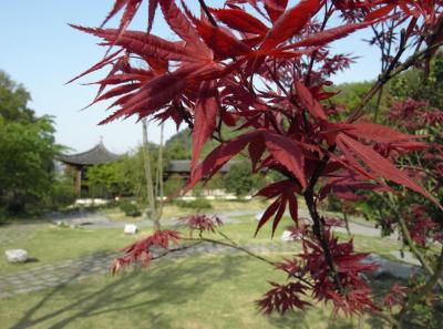 China2010spring 020 Jpg 16262309759 O