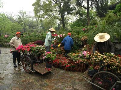 China2010spring 025 Jpg 16448583205 O