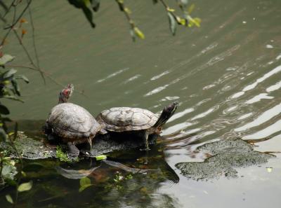 China2010spring 06 Jpg 16446813281 O