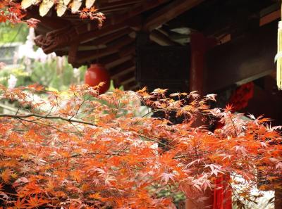 China2010spring 08 Jpg 16448580365 O