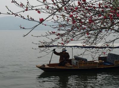 P4035905 16567419861 O