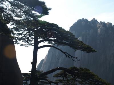 P4066174 16543082676 O