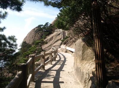 P4066179 16543083346 O