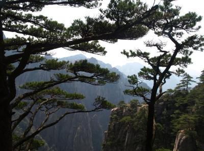 P4066272 16381434848 O