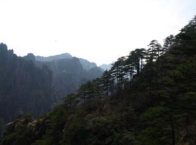 P4066273 16567989932 O