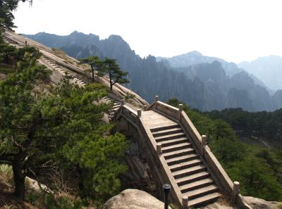 P4066287 16543102966 O