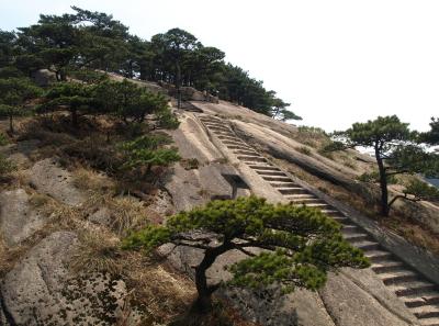 P4066289 16569130305 O