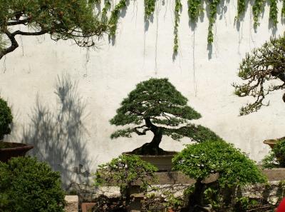 P4116923 16381674210 O