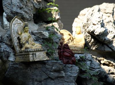 Pa154536 50944492758 O