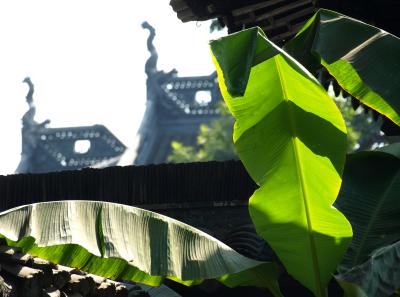 Pa154604 50945293427 O