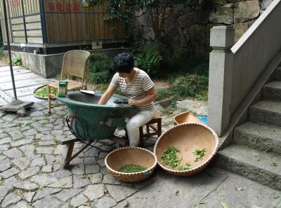 Pa174822 50944501483 O