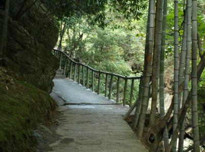 Pa184918 50945198571 O