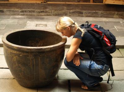 Pa194966 50945302992 O