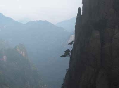 Pa205045 50944506718 O