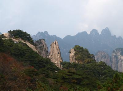 Pa205113 50945203021 O