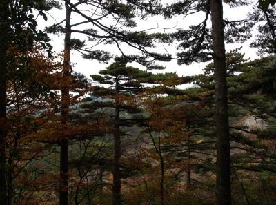 Pa205149 50945203956 O