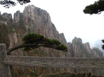 Pa205152 50945204041 O