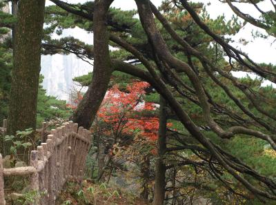 Pa205189 50945308162 O