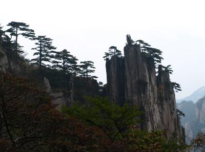 Pa205207 50945205716 O