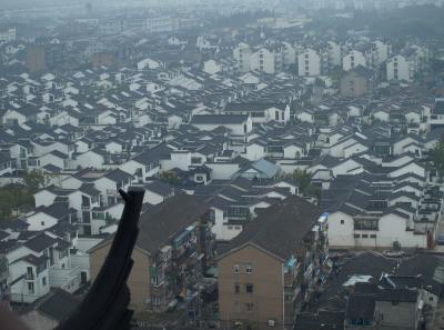 Pa235303 50945207041 O