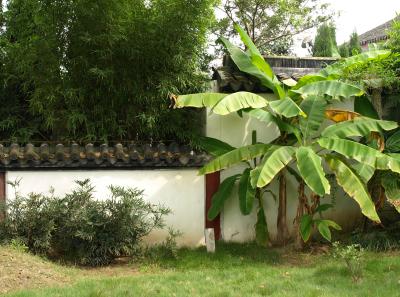 Pa245388 50945311197 O