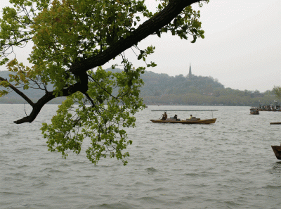 China2008 11s 16269323108 O